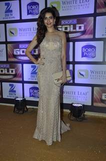 Karishma Tanna at Zee Gold Awards 2016