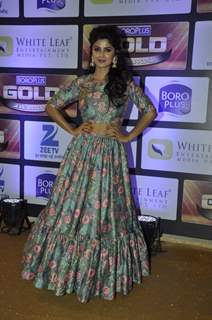 Sayantani Ghosh at Zee Gold Awards 2016