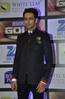 Nandish Singh Sandhu at Zee Gold Awards 2016