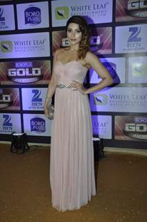 Zee Gold Awards 2016
