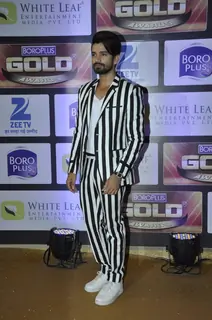 Vishal Singh at Zee Gold Awards 2016