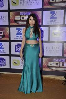 Leena Jumani at Zee Gold Awards 2016