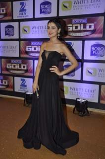 Sriti Jha at Zee Gold Awards 2016