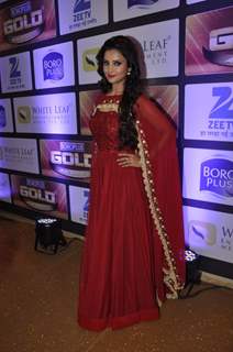 Adaa Khan at Zee Gold Awards 2016