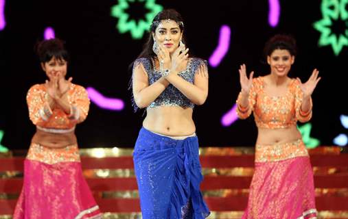 Shriya Saran at 'Cinemaa Awards 2016'