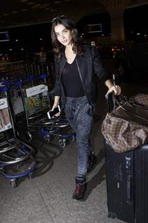 Amy Jackson Snapped at Airport