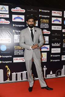 Rana Daggubati looks Dapper at SIIMA Awards 2016