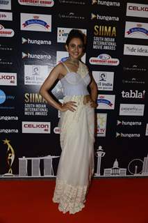 Rakul Preet Singh at SIIMA Awards 2016