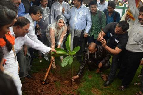 Tanishaa Mukerji's NGO STAMP Joins 'Tree Plantation Initiative'