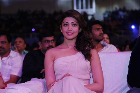 Pranitha Subhash at Santosham South India Film Awards 2016