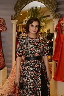Dia Mirza at Dev R Nil's preview at AZA