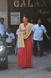 Sophie Choudry at Salman Khan's Ganesh Utsav 2016