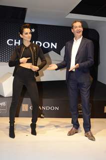 Kangana Ranaut UNVEILS OF CHANDON X MC LAREN-HONDA