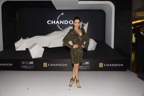 Malaika Arora Khan at UNVEILING OF CHANDON X MC LAREN-HONDA