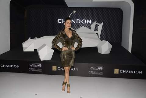 Malaika Arora Khan at UNVEILING OF CHANDON X MC LAREN-HONDA