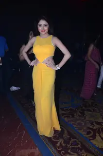 TV celebs at ABP bash