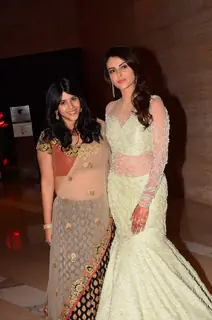 Mandana Karimi's Wedding Reception