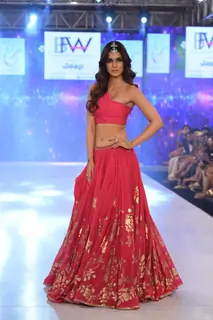 Celebs at India Beach Fashion Week