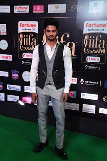 Celebs at 'IIFA Utsavam'