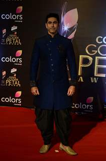 Golden Petal Awards 2017