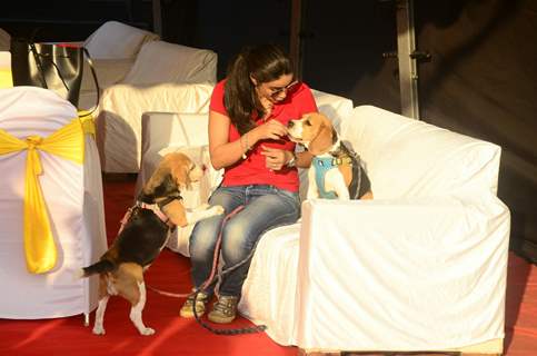 Gul Panag with her dogs