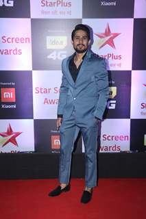 Star Screen Awards 2018