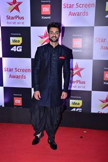 Karan Wahi at Star Screen Awards 2018