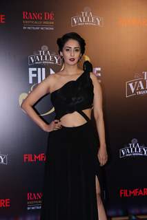 Bollywood celebrities attend Filmfare Awards