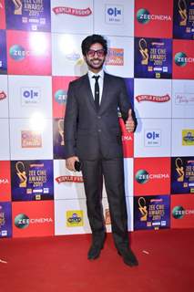 Bollywood celebrities papped at Zee Cine Awards!