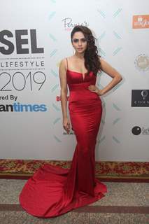 Amruta Khanvilkar snapped at the Tassel Awards