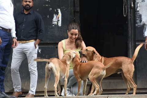 Shraddha Kapoor snapped playing with dogs!