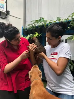 Celebrities snapped around the town