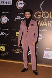 Celebrities attend the 12th Gold Award!