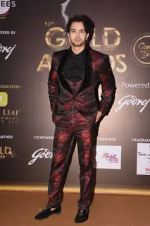 Celebrities attend the 12th Gold Award!