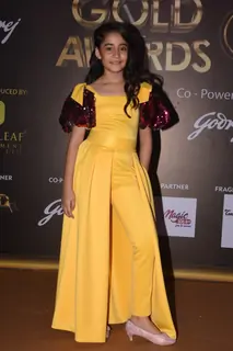 Celebrities attend the 12th Gold Award!