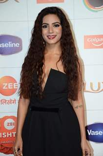 Celebrities at Zee Rishtey awards