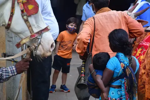 Taimur Ali Khan snapped at Bandra