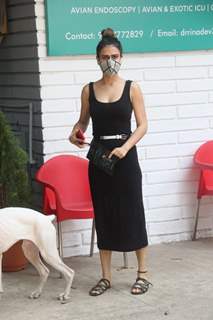 Fatima Sana Shaikh snapped at a pet clinic