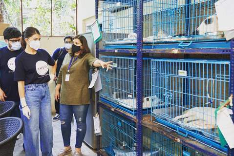 Jacqueline Fernandez visits and helps stray animals