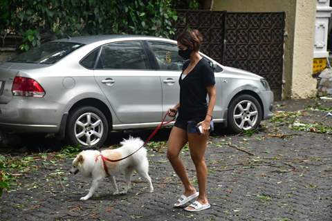 Malaika Arora snapped this morning taking her dog for a walk