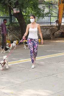 Sophie Choudry snapped at Bandra