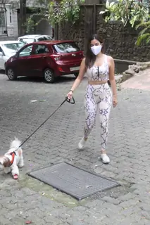 Sophie Choudry snapped walking her pet