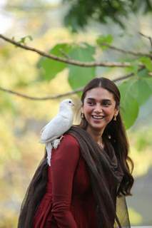 Aditi Rao Hydari in her debut Malayalam film - 'Sufiyum Sujatayum'