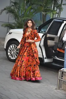 Celebrities spotted today