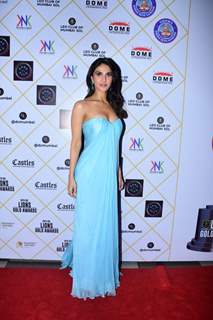Vaani Kapoor took our breath away in a sky blue gown as she attended an award show in the city