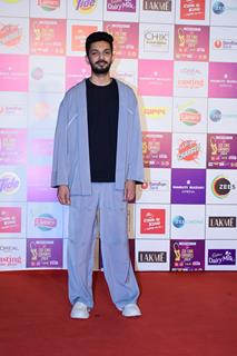 Celebrities snapped at at Zee Cine Awards 2024