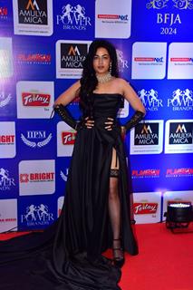Celebrities grace the Bollywood Film Journalist Awards 2024