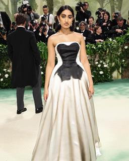 Celebrities grace Red carpet of Met Gala 2024 