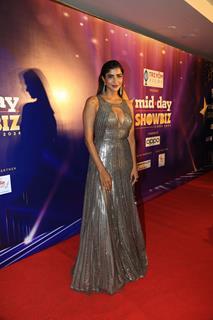 Celebrities grace the Mid Day Showbiz Awards 2024