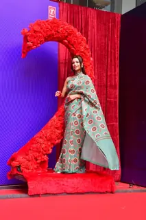 Triptii Dimri snapped at the trailer launch of Vicky Vidya Ka Woh Wala Video